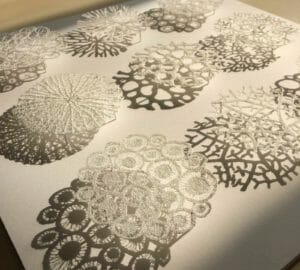 Meredith Woolnouhg